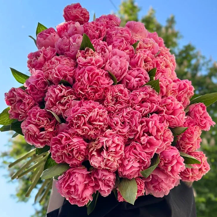 19 пионов