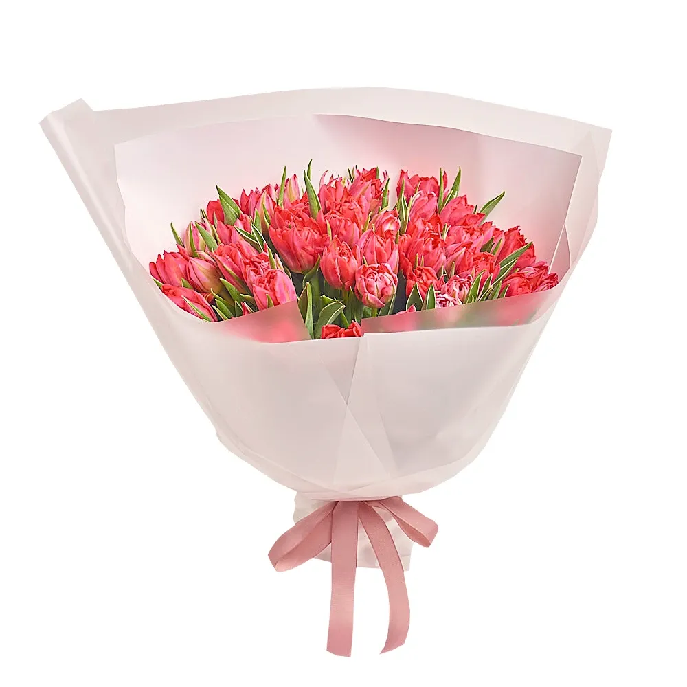 Букет из 51 красного пионовидного тюльпана
